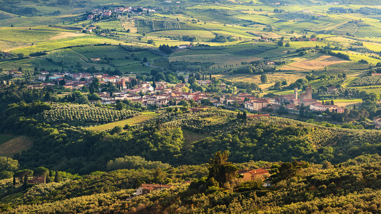 View over Vinci, Tuscany, Italy