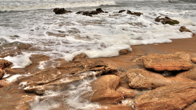 Coquina rocks at Washington Oaks Gardens State Park shoreline in Florida