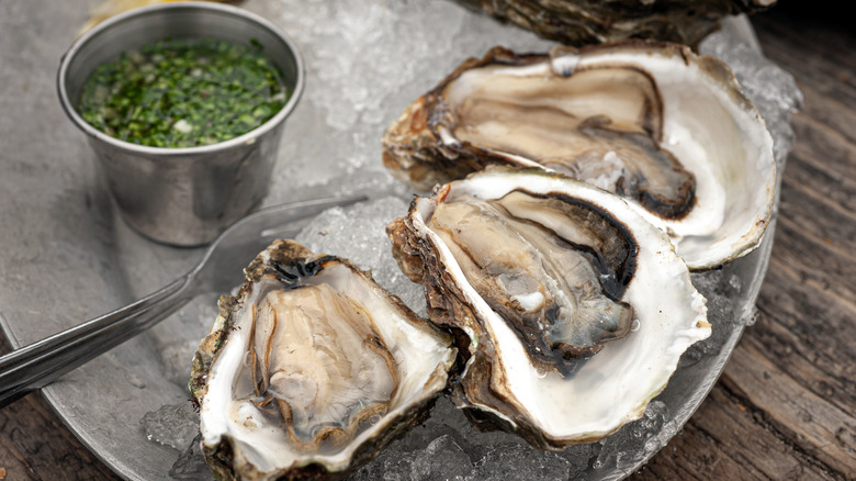 Shucked oysters