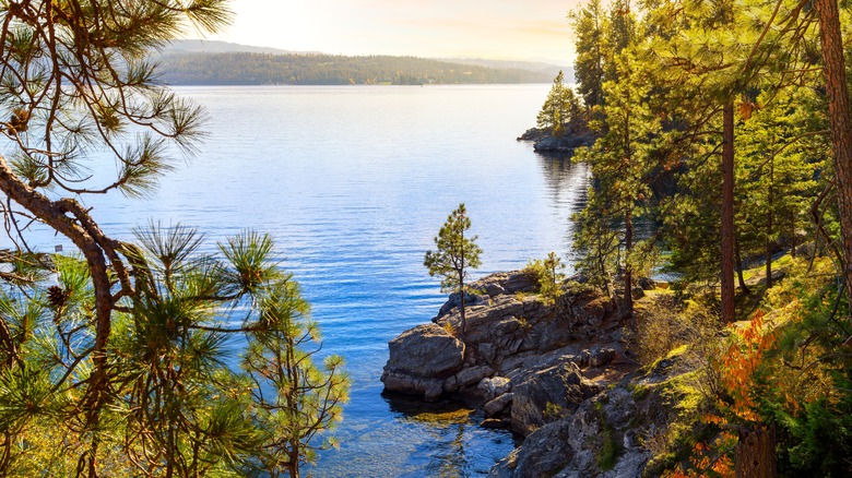 Rocky cove with trees in Lake Coeur d'Alene, Idaho