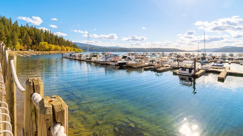 Boats on the marina in Coeur d'Alene, Idaho, during a sunny day