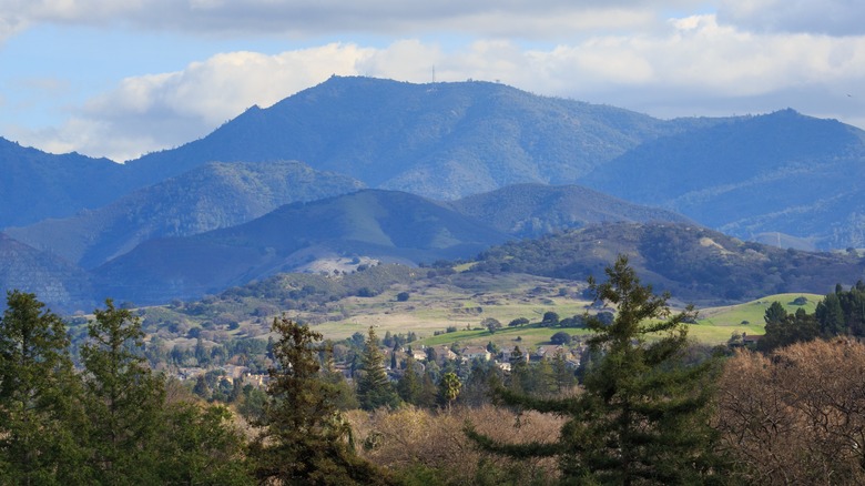 Hilly landscape in Concord, California