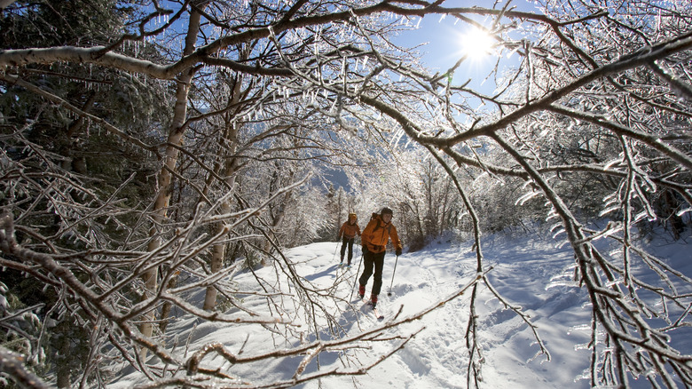 New England snow and two people on ski trail