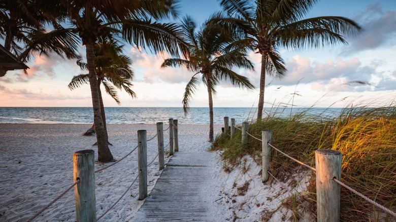 Beach and walkway between palms on Key West