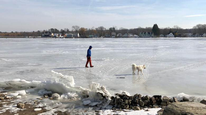 A man and his dog walking on a frozen Adirondack lake