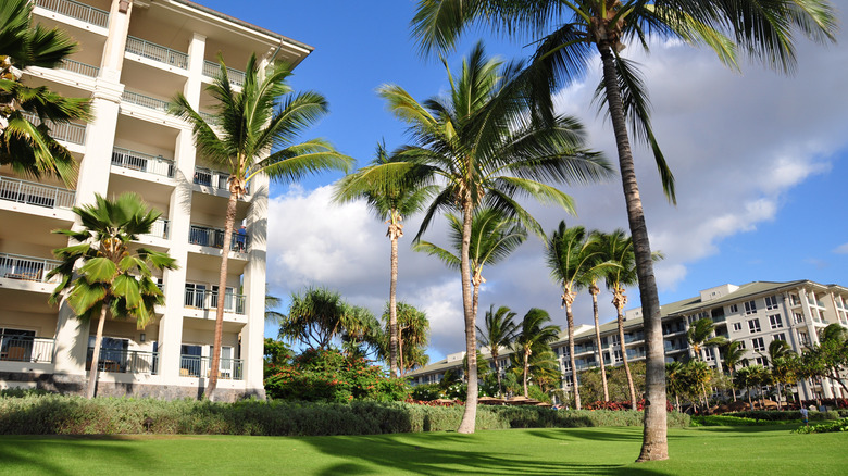 Apartments in Hawaii with landscaped garden and coconut trees