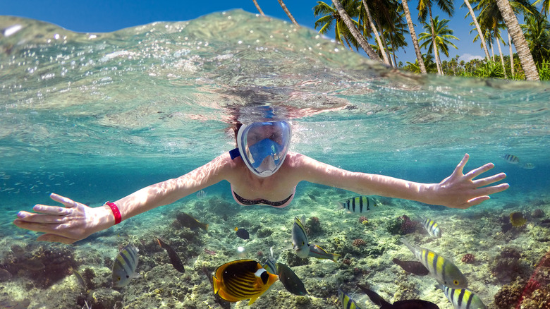 Person snorkeling at beach