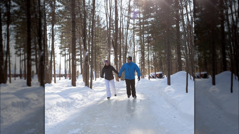 Ice skate through a forest