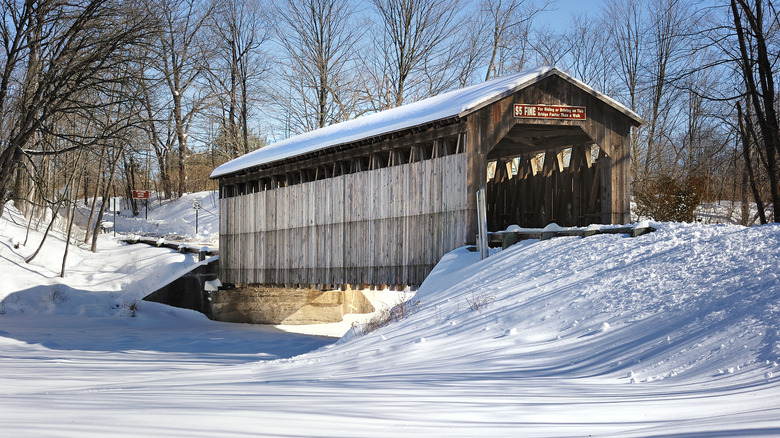 Wooden covered bridge, Michigan