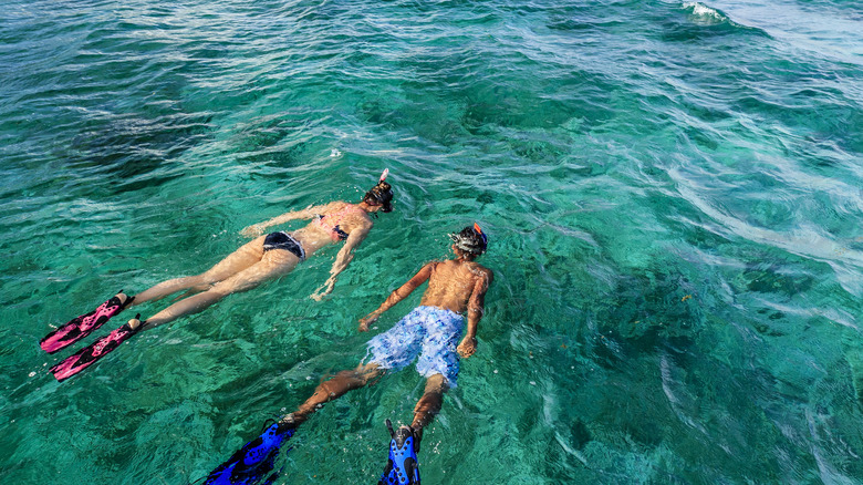 two snorkelers sun on their backs
