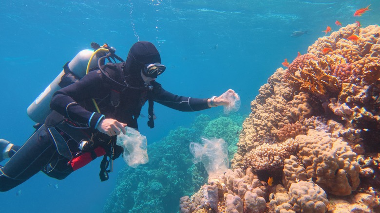 diver cleaning plastic off reef