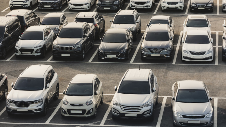 Fleet of rental cars