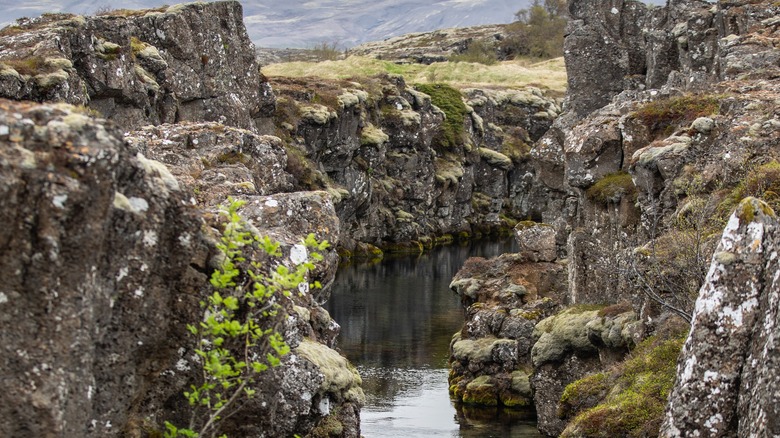 View of the Silfra Fissure in Iceland with moss-covered rocks