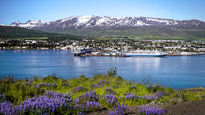 town on water with mountains