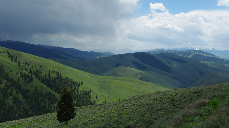 A view to the west from Lemhi Pass, Idaho