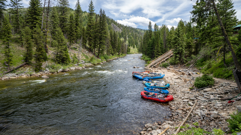 Rafts near the Middle Fork of the Salmon River