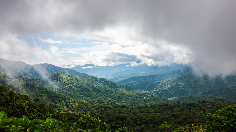 Monteverde Cloud Forest panoramic view