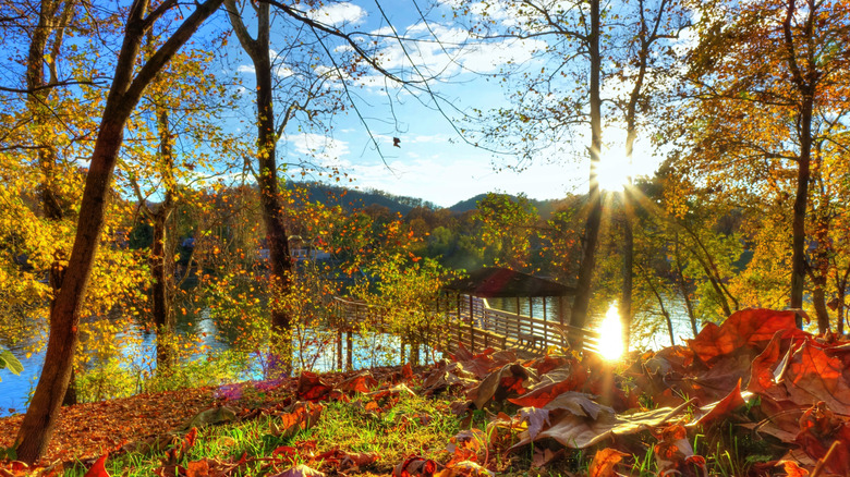 Charleston West Virginia's Daniel Boone Park in autumn