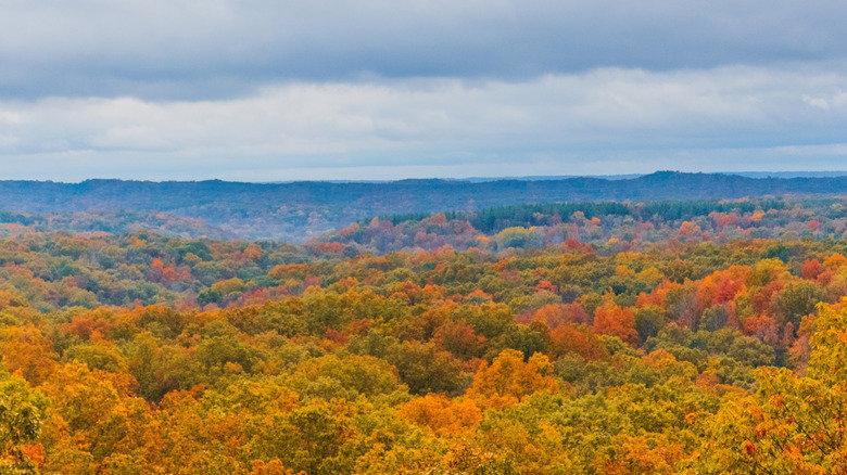 Fall colors in Brown County State Park