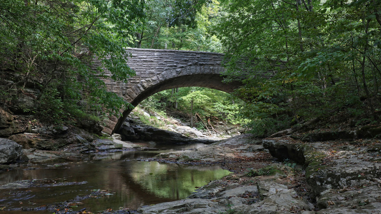 Historic stone bridge over a forest creek