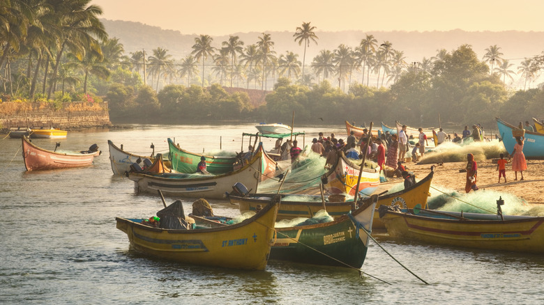 Boats on Old Goa beach