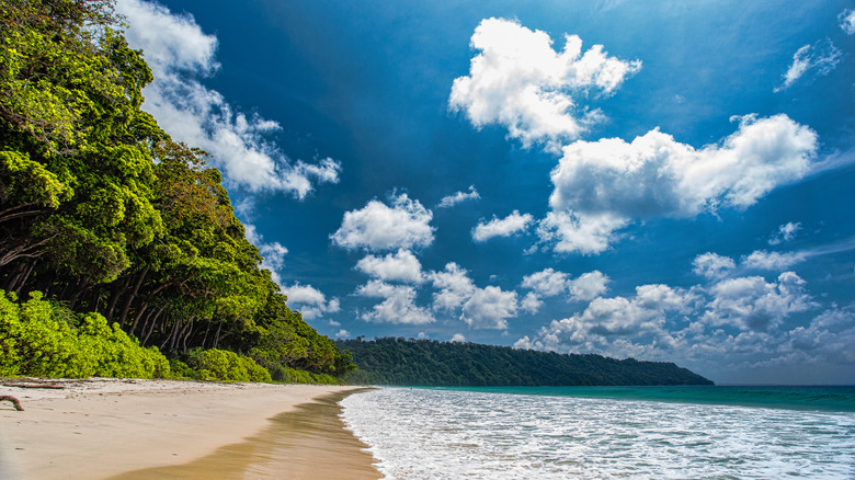 Radhanagar Beach Andaman Islands Havelock tropical Swaraj Dweep