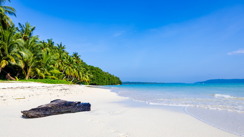 Andaman Islands tropical beach white sand