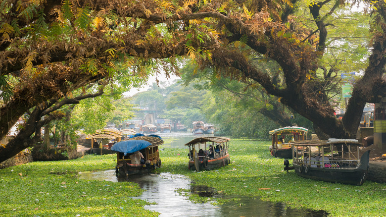 Houseboats on the backwaters of Alappuzha, India