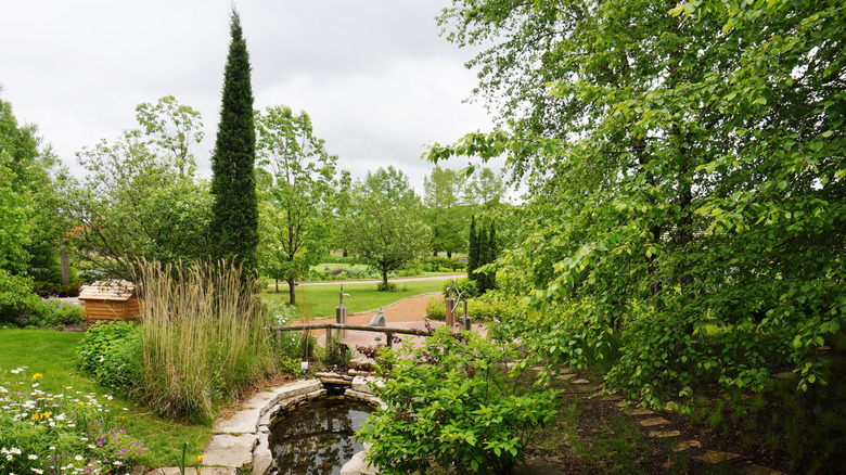 The verdant and serene Reiman Gardens in Ames, Iowa