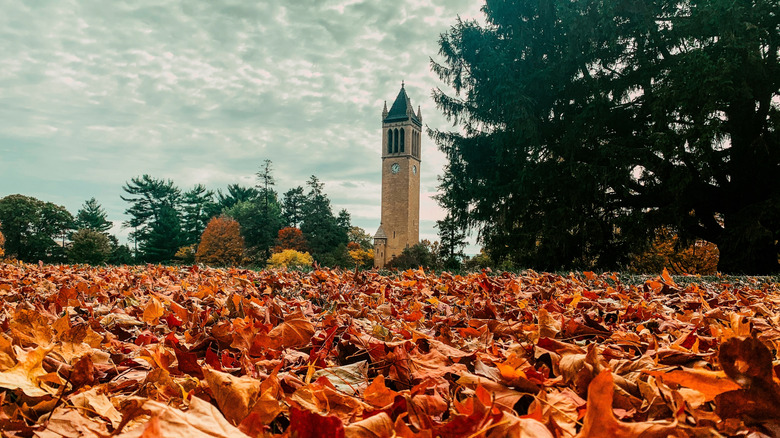 Leaves surrounding the campanile on the Iowa State University campus in Ames