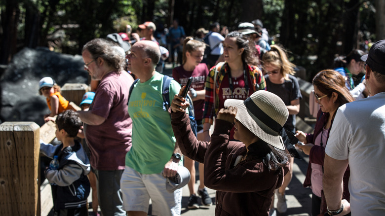 A crowded day on the busiest season in Yosemite National Park