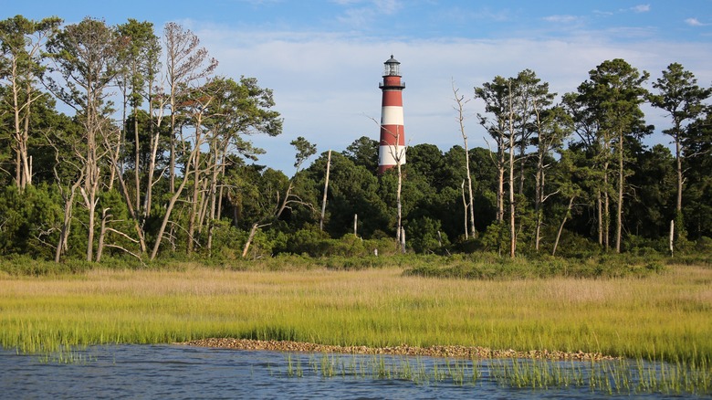 Climb the Assateague Lighthouse