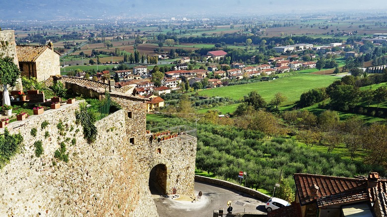 Panoramic view from the town of Anghiari