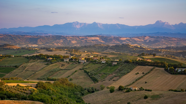 Italy Marche region countryside