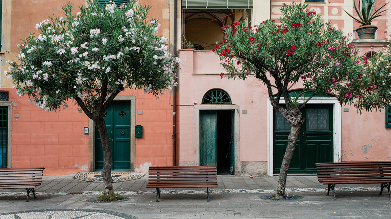 Street in Bonassola village in Liguria