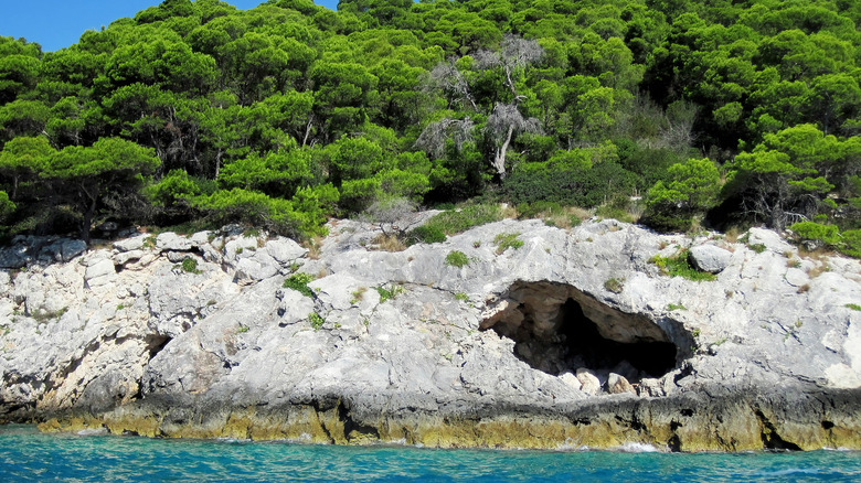 Pines and caves on San Dòmino, Italy