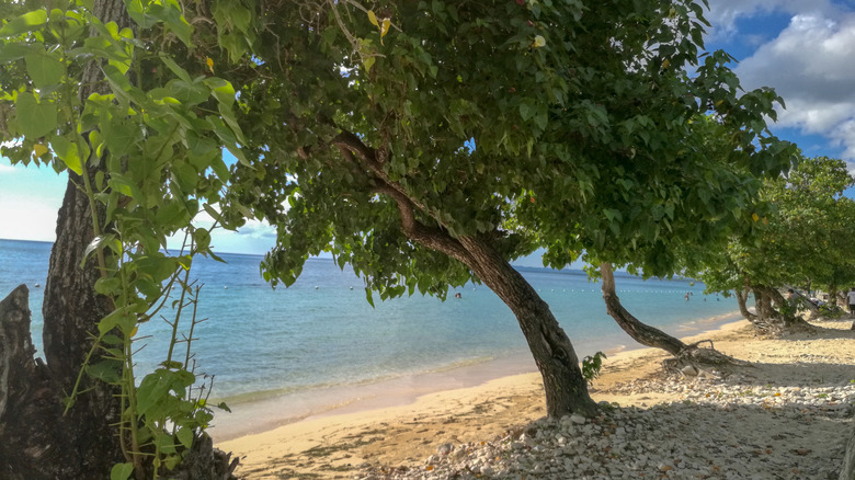 The view of beautiful Bluefield Beach in Jamaica