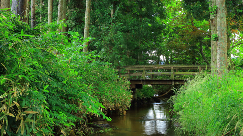 Kappa-inhabited creek in Tono, Japan