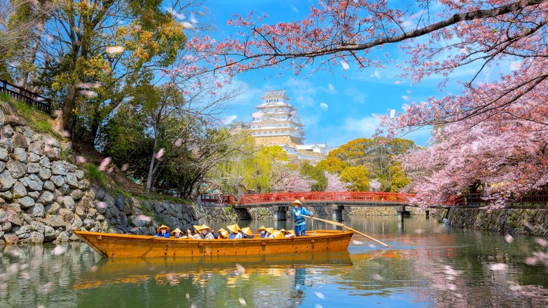 Himeji Castle seen from moat boat tour during cherry blossom season