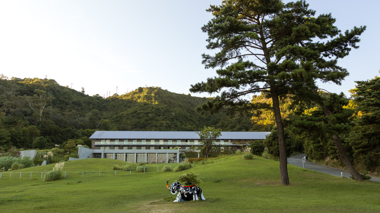 Overlooking the Benesse House Park hotel from the lawn