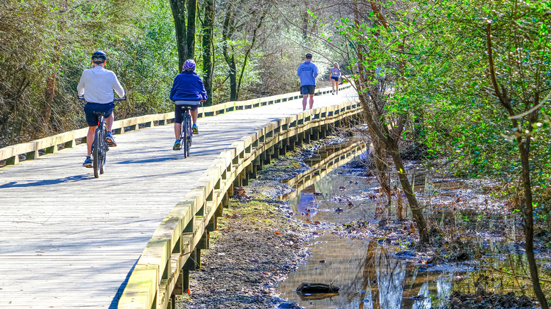 Runners and cyclists on the Big Creek Greenway