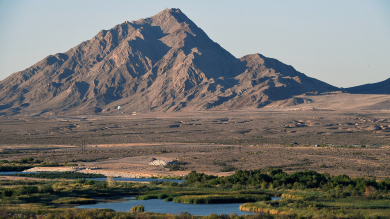 Clark County Wetlands Park in front of a mountain