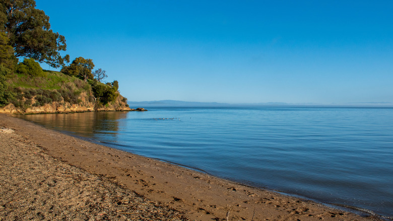 Shores of China Camp State Park overlooking San Pablo Bay