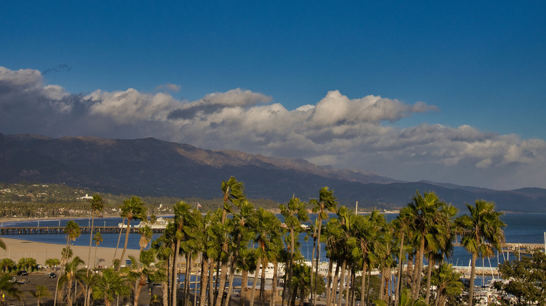 Coastal town with palm trees