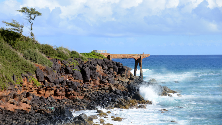 View of the Pineapple Dump Pier with ocean in backdrop