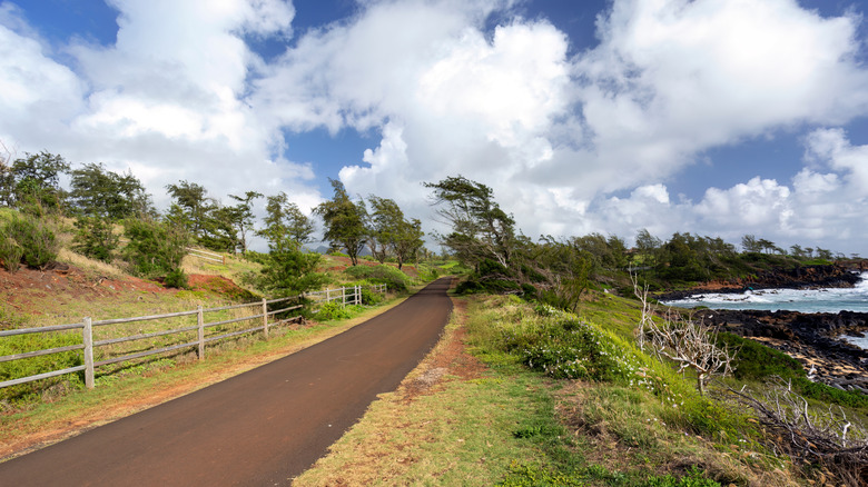 View of the Ke Ala Hele Makala alongside the coast