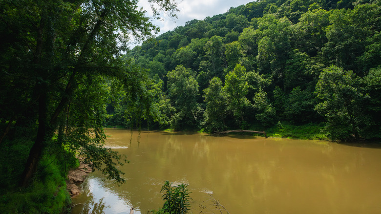 Where the Green River meets Mammoth Cave National Park