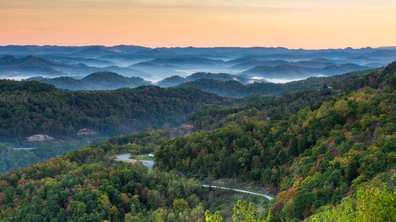 Sunrise and fog over forest in Kentucky