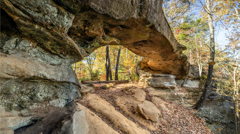 Kentucky's Hidden Waterfall Is A Tranquil Escape Surrounded By Natural 