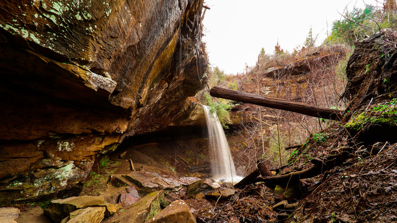 Broke Leg Falls in Kentucky